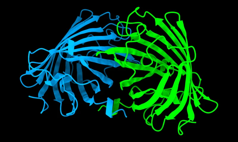 Molecular render representing AlphaFold 2 Multimer