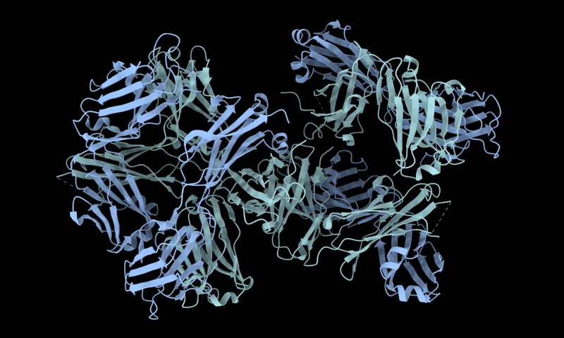 Molecular render representing AntiFold
