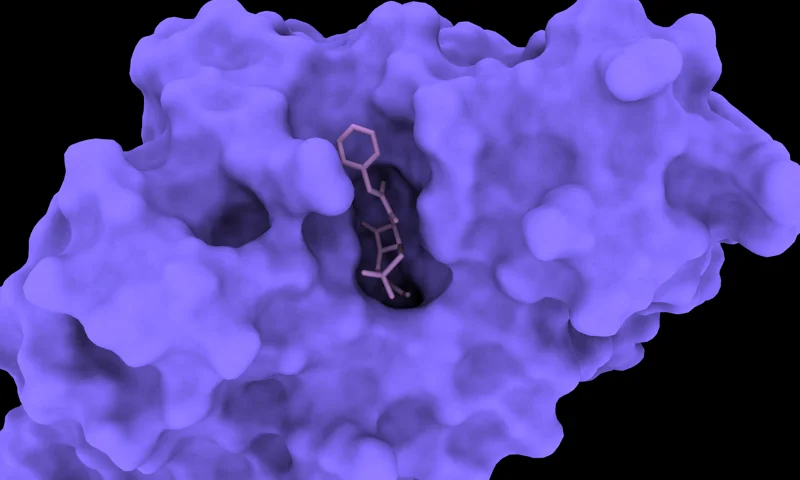 Molecular render representing AutoDock Vina