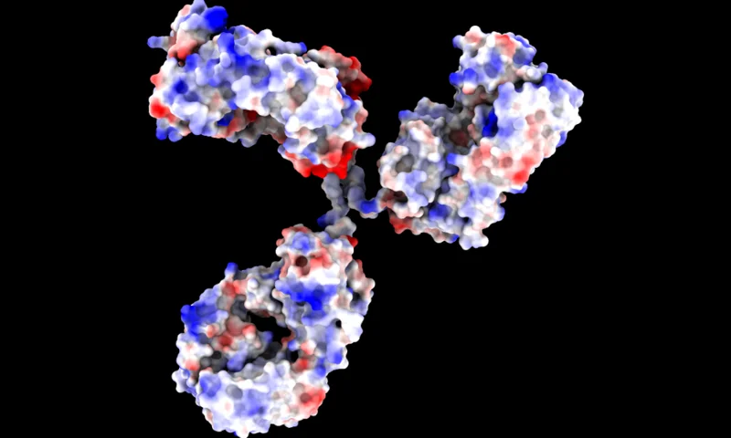 Molecular render representing BioPhi