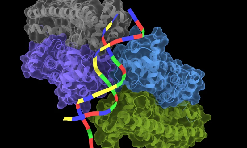 Molecular render representing Boltz-2