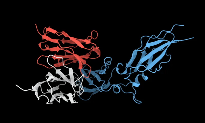 Molecular render representing DockQ