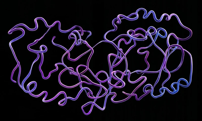 Molecular render representing DSSP