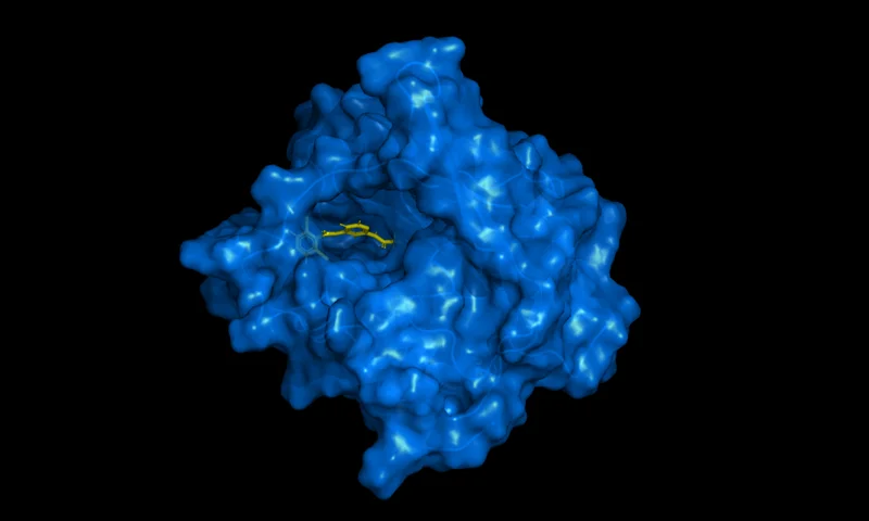 Molecular render representing DynamicBind