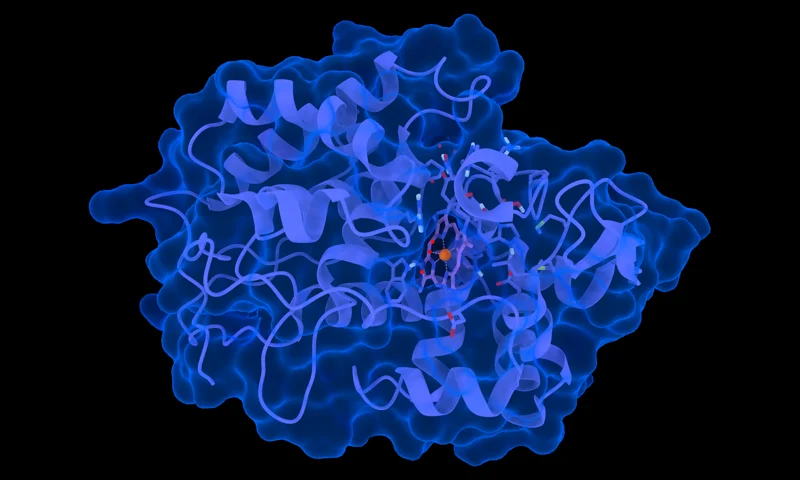 Molecular render representing GNINA