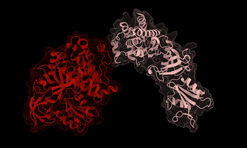 Molecular render representing LigandMPNN