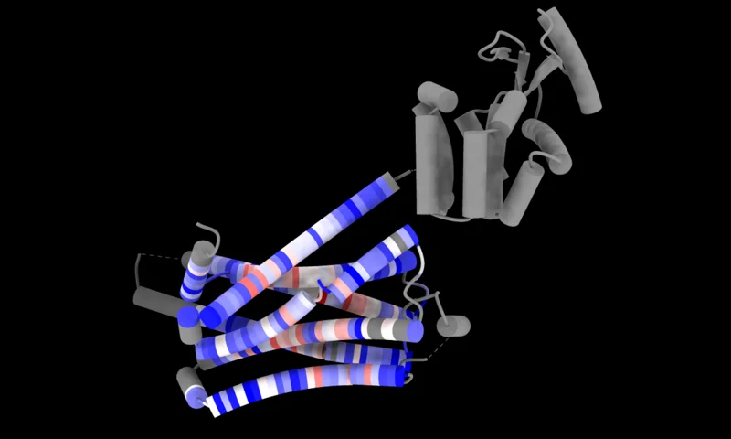 Molecular render representing MAFFT