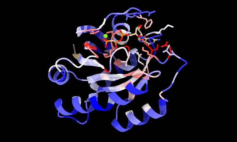 Molecular render representing MUSCLE5