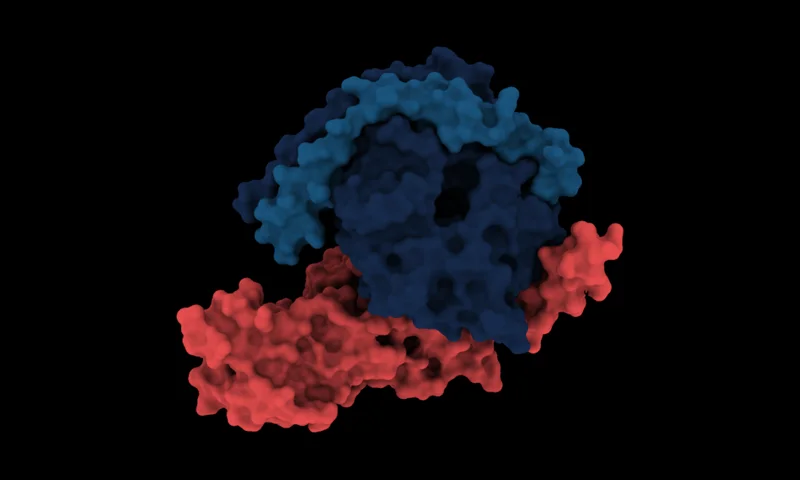 Molecular render representing OpenFold3 (OpenBind-0)