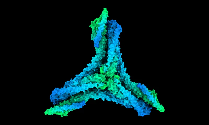 Molecular render representing PDB2PQR