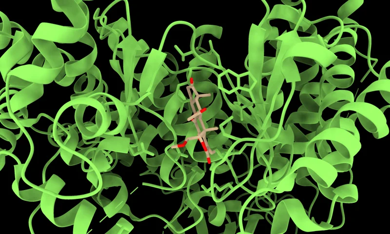 Molecular render representing PocketFlow