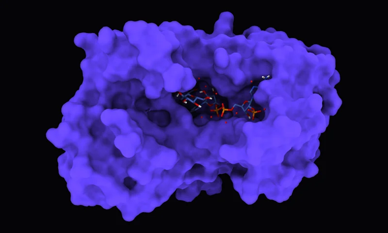 Molecular render representing PocketXMol