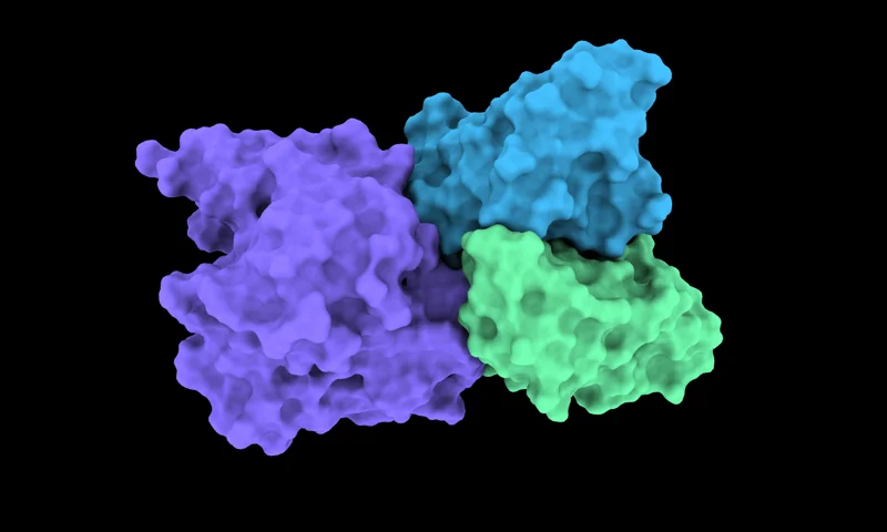 Molecular render representing RFantibody