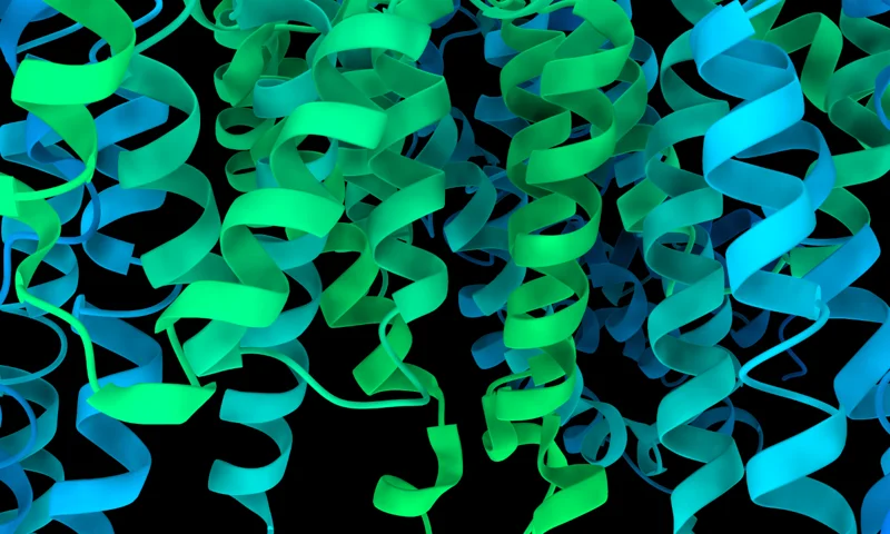 Molecular render representing RFdiffusion